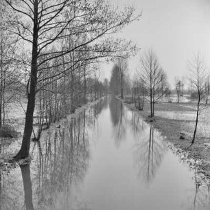 Landschaftsbild. Frühling im Spreewald. Die Wiesen sind überschwemmt. : Wobraz krajiny. Nalěćo w Błótach. Łuki su přepławjene.