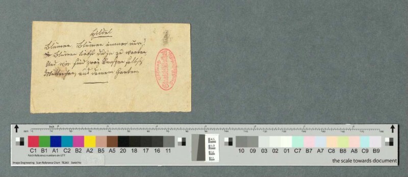 Hildel, Blumen, Blumen immer nur!; Gundel, Ich bin die rothe,
                              und sie ist die blaue, [Rollengedicht für Hildegard und Hildegunde von
                              Laßberg zum Geburtstag ihrer Mutter Jenny von Laßberg am 02.06.1842
                              oder 1844], Reinschrift