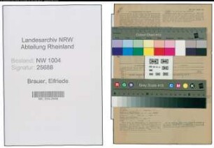 Entnazifizierung Elfriede Brauer , geb. 07.01.1912 (Kaufm.Angestellter)