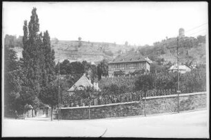 Radebeul. Hoflößnitz