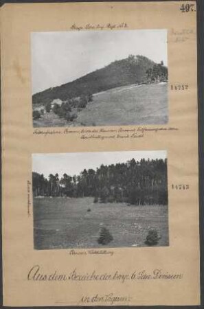 Camme, Waldstellung (rechts anschließend)