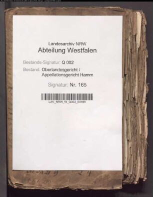 Adliges Gut Laer