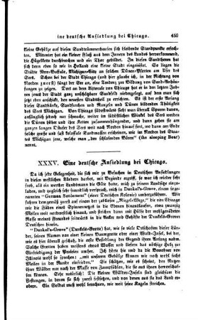 35. Eine deutsche Ansiedlung bei Chicago.