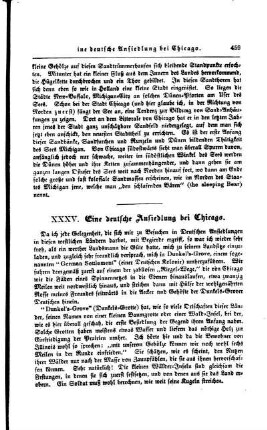 35. Eine deutsche Ansiedlung bei Chicago.