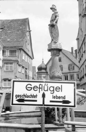 Biberach: Brunnenfigur mit Geflügelschild