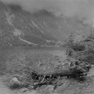 Hohe Tatra (Polen) (?). Bergsee?
