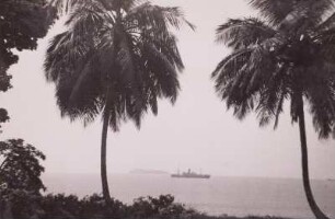 Cameroun (heute: Kamerun), Viktoria, Blick durch Palmen auf die Reede, 1936