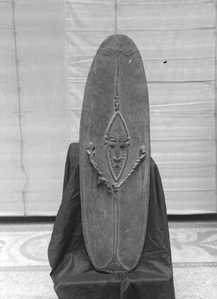 Schild (Waffe)