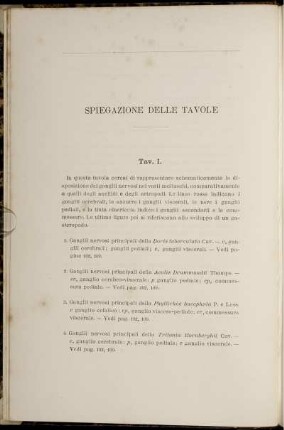 Spiegazione Delle Tavole