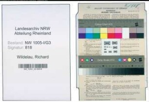 Entnazifizierung Richard Wildelau , geb. 12.07.1908 (Kaufm.Angestellter)
