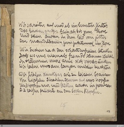 Wir schreiten auf und ab im bunten flitter (Wir schreiten auf und ab im reichen flitter) : [SW IV: S]; [SW IV, S. 15/133]