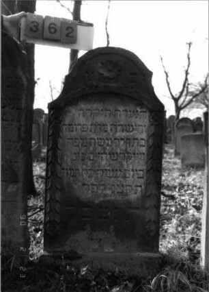 Grabstein 362 (Index: 100115753) Material: Sandstein Zustand: verwittert Maße HxBxT: 113x57x15 cm Beschreibung: aufgesockelte Stele mit eingezogenem Segmentbogenabschluß, eingetieftes Schriftfeld mit Segmentbogenabschluß Symbolik: Ranken, Blüten: Grabstein 362