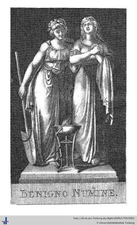 1799: Taschenbuch für Damen