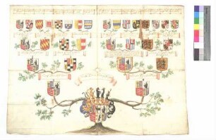 Fugger, Grafen (Ahnentafel)