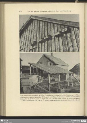 Starkasten an Fischerhaus