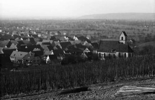 Haltingen: Blick vom Weinberg auf den Ort
