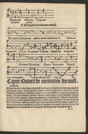 Caput Quintum de coniunctis seu musica ficta.