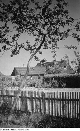 Außenansicht eines Hauses mit einem blühenden Obstbaum im Vordergrund