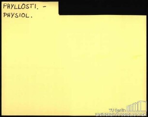 PHYLLOSTI.-PHYSIOL.