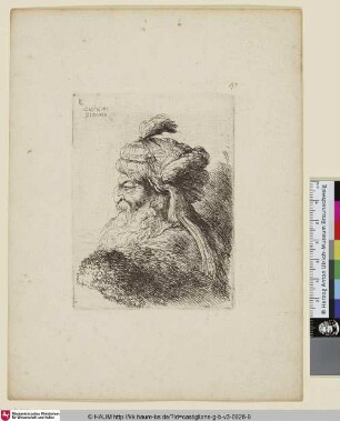 Un vieillard à grande barbe, vu de profil et tourné vers la gauche [Kopf eines alten Mannes im Profil nach links mit orientalischem Turban mit Federschmuck]