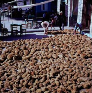Kalymnos. Schwämme trocknen vor einem Kafenion