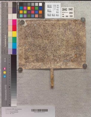 Rentenverkauf des Johann Kuppenberch an Abt Johann und das Kloster Marienfeld aus Land vor Ahlen.