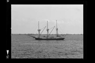 Godewind