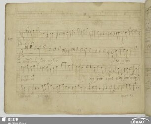 Hassler, Hans Leo: Alleluia laudem dicite Deo nostro