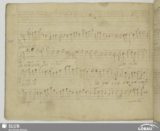 Hassler, Hans Leo: Alleluia laudem dicite Deo nostro