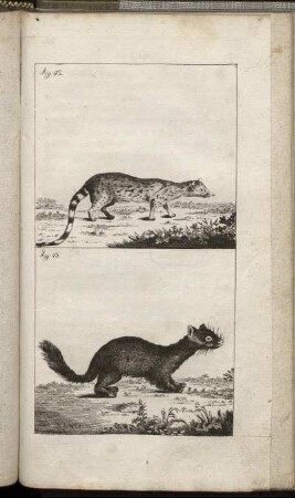 Fig. 42. - Fig. 43.