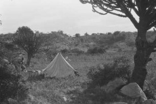 Zeltlager in der Euphorbienformation : Savannenlandschaft mit Kakteen, Zelten und Expeditionsmitgliedern