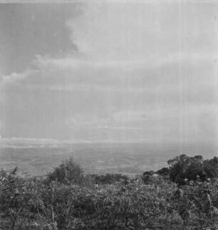 Landschaft : Blick über bewaldete Hügel zum Meer