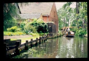 Spreewald/ Lehde 26.7.84.