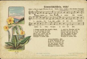 Himmelschlüssela, blüh!