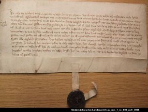 Abbo in Soltborg verkauft der Kommende Jemgum Grundbesitz = OUB II, Nr. 1318, S. 353 Anhängendes Siegel erhalten