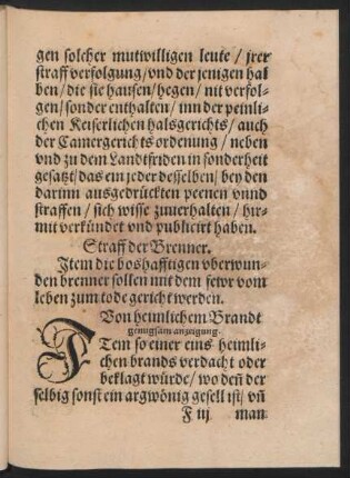 Von heimlichem Brandt genugsam anzeigung.