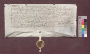 Hans Wilhelm von Breitenlandenberg zu Spiegelberg übernimmt von Abt Bernhard von St. Gallen als Lehenträger und Vogt der Kinder des verstorbenen Hug Gerwig von Hohenlandenberg Schloß Schneeburg mit dem Bauhof, die Vogtei zu Ebringen mit Talhausen und Berghausen als Lehen.