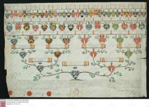 Ahnenprobe des Philipp Anton Ignaz v. Greiffenclau z. Vollrads. - ausgefertigt 1768 Oktober 10, Pergament