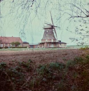 Windmühle mit Wiese