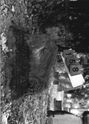 Grabstein 158 [Hahn S. 62f. Grab-Nr. 1494]