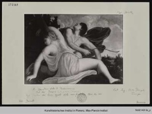 Tod der Procris