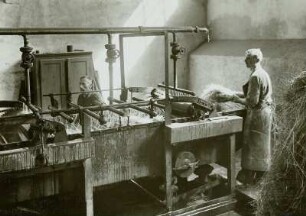 Flachsröste, Arbeitsabläufe, Neusalza-Spremberg, 1938