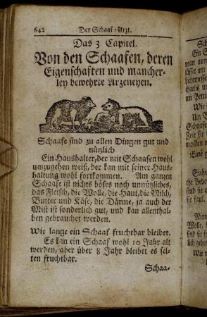Das [4.] Capitel. Von den Schaafen, deren Eigenschaften und mancherley bewehrte Arzeneyen.