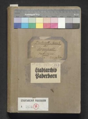 Protokollbuch des Magistrats, 1894 - 1896