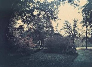 Dresden, Partie im Großer Garten im Herbst