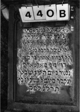 Grabstein 440 (Index: 100095331): Grabstein 440B