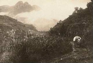 Brasilien, Santa Catarina, im Gebirge zwischen Kolonie Hansa und Sao Banto