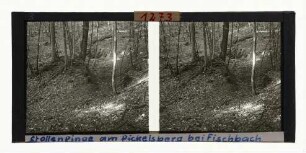Stollenpinge, Pickelsberg bei Fischbach, südliches Waldeck