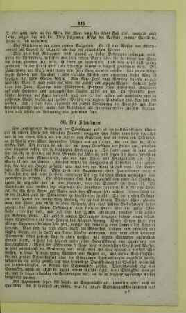 86. Die Schwämme