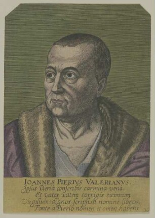 Bildnis des Giovanni Pietro Bolzani